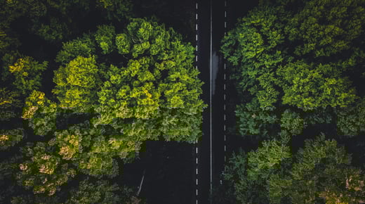 ESG Accountability in Australia: Are You Ready for ASRS & AASB S2?